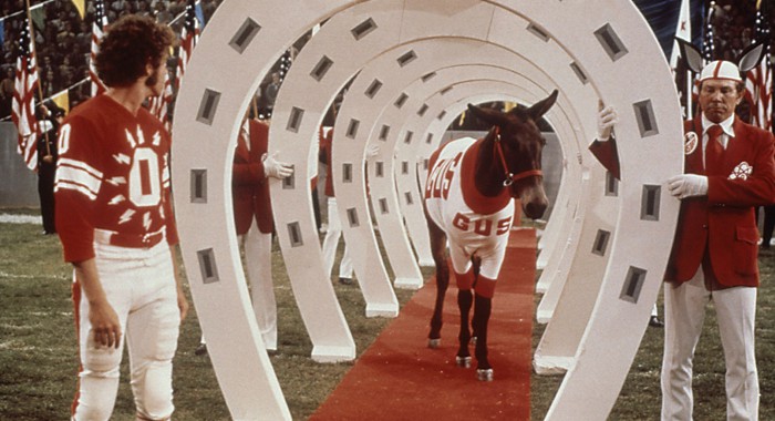 Gus the Mule walks onto the Field