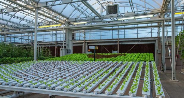 Living with the land plants
