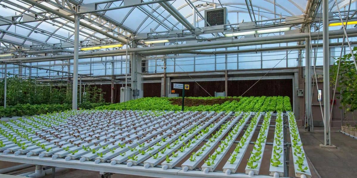 Living with the land 