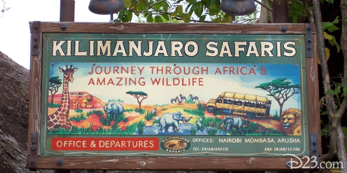 Animal Kingdom Safari 