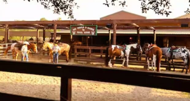 Tri-circle-D ranch