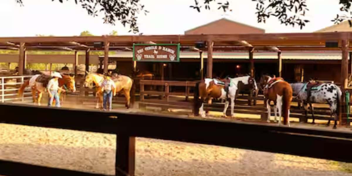 Tri-circle-D ranch