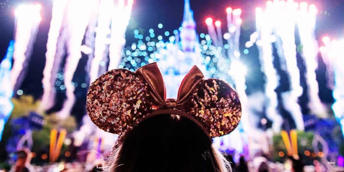 Disney Fireworks with someone watching - face hidden
