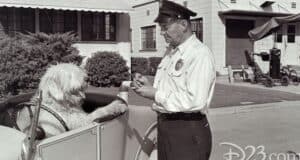 Disney World Security