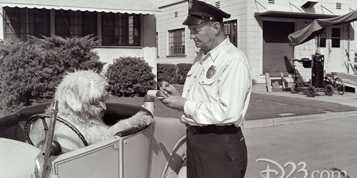 Disney World Security 