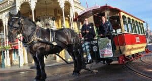 Horse drawn carriage Disneyland