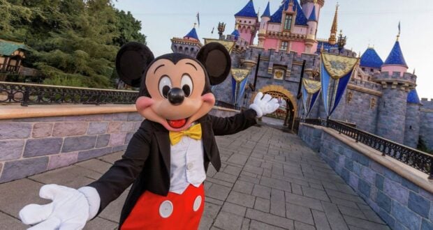Sleeping Beauty Castle