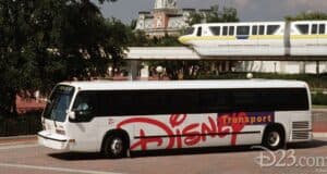 Disney Bus