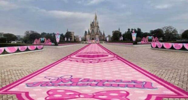 Minnie Mouse Themed Disney Park