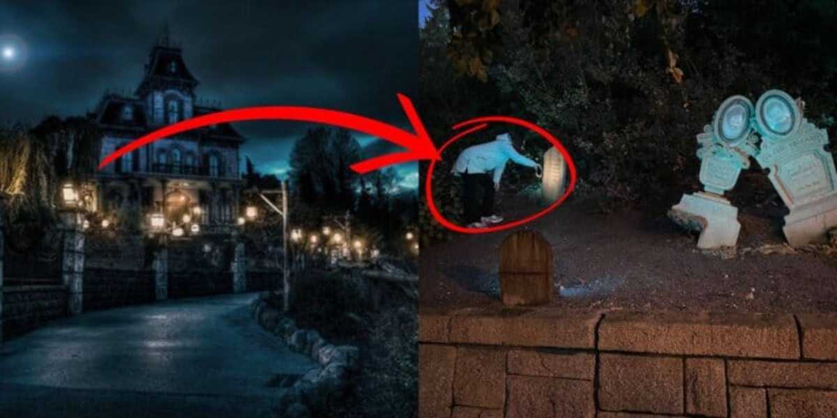Phantom Manor Guest Destroying Property