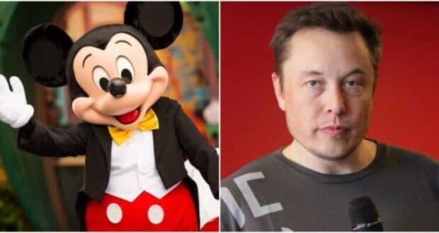 Mickey mouse and Elon musk in one picture
