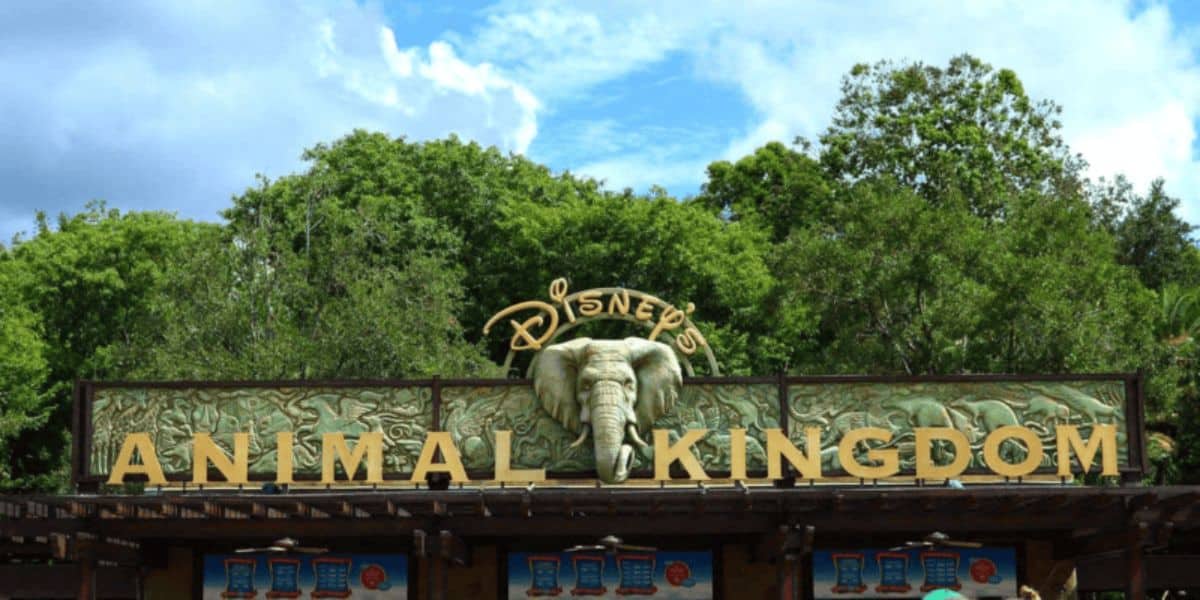 Disney Animal Kingdom