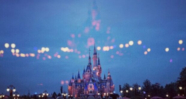 Disney Castle and Attractions
