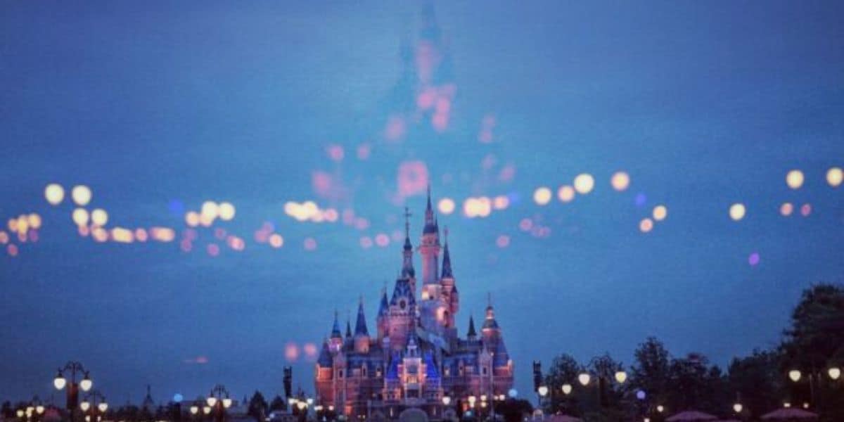 Disney Castle and Attractions
