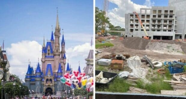 Disney reconstruction