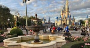 Disney world