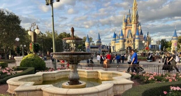 Disney world
