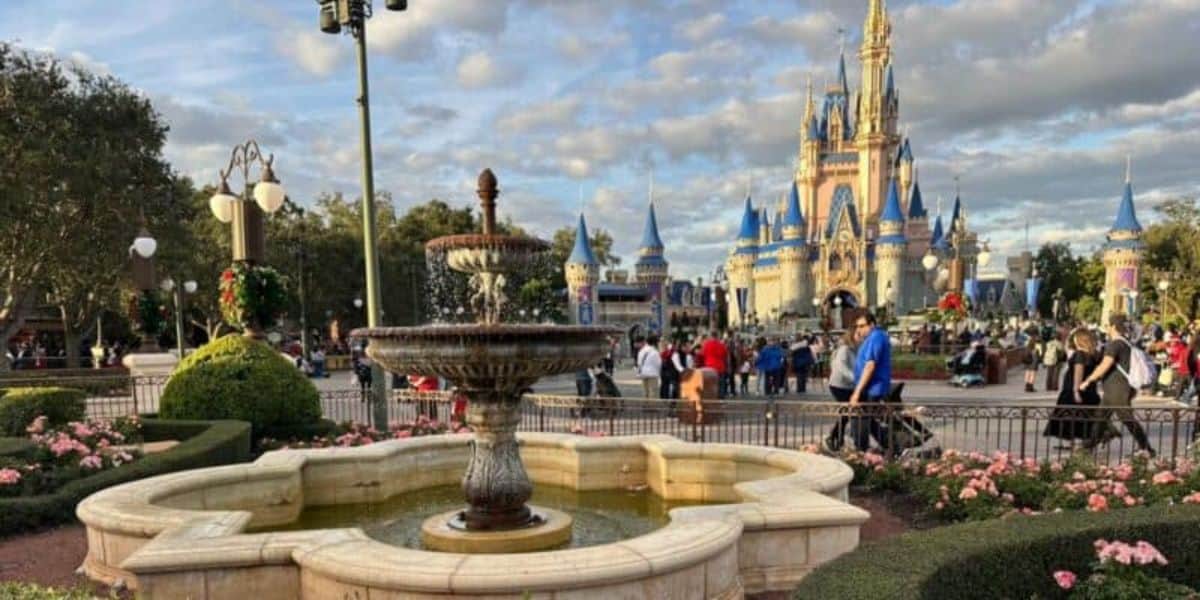 Disney world