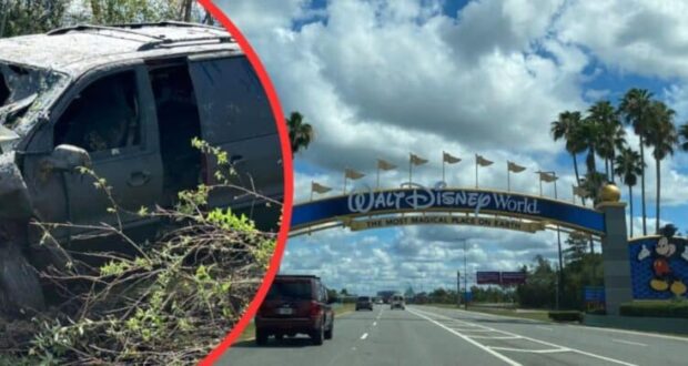 Car Walt Disney World