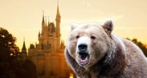 Disney and roaring bear