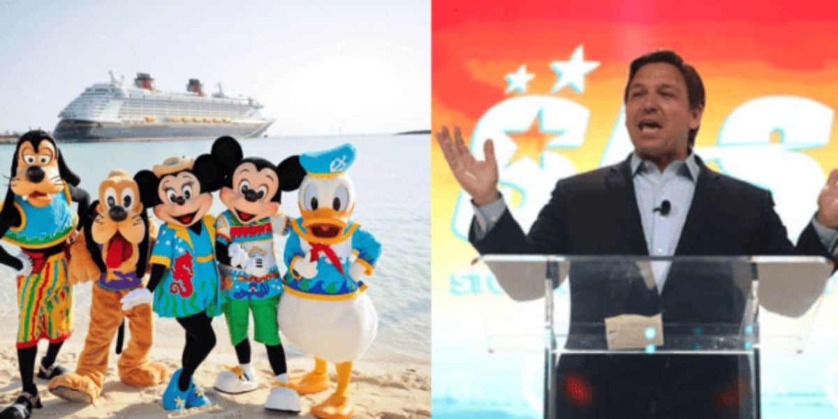 Disney character Ron DeSantis