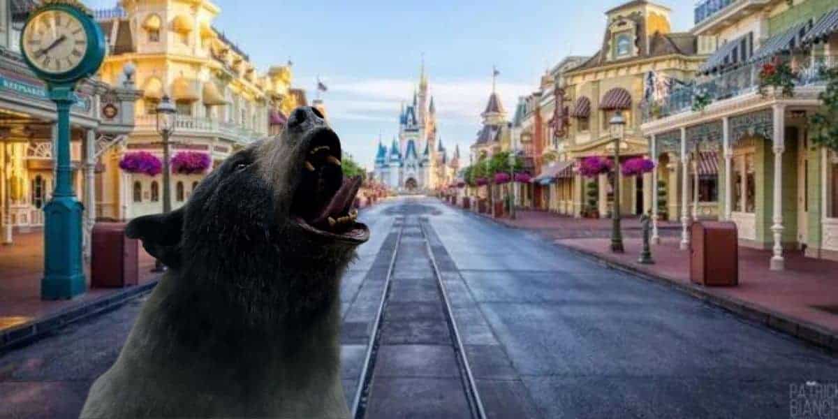 bear magic kingdom disney world main street