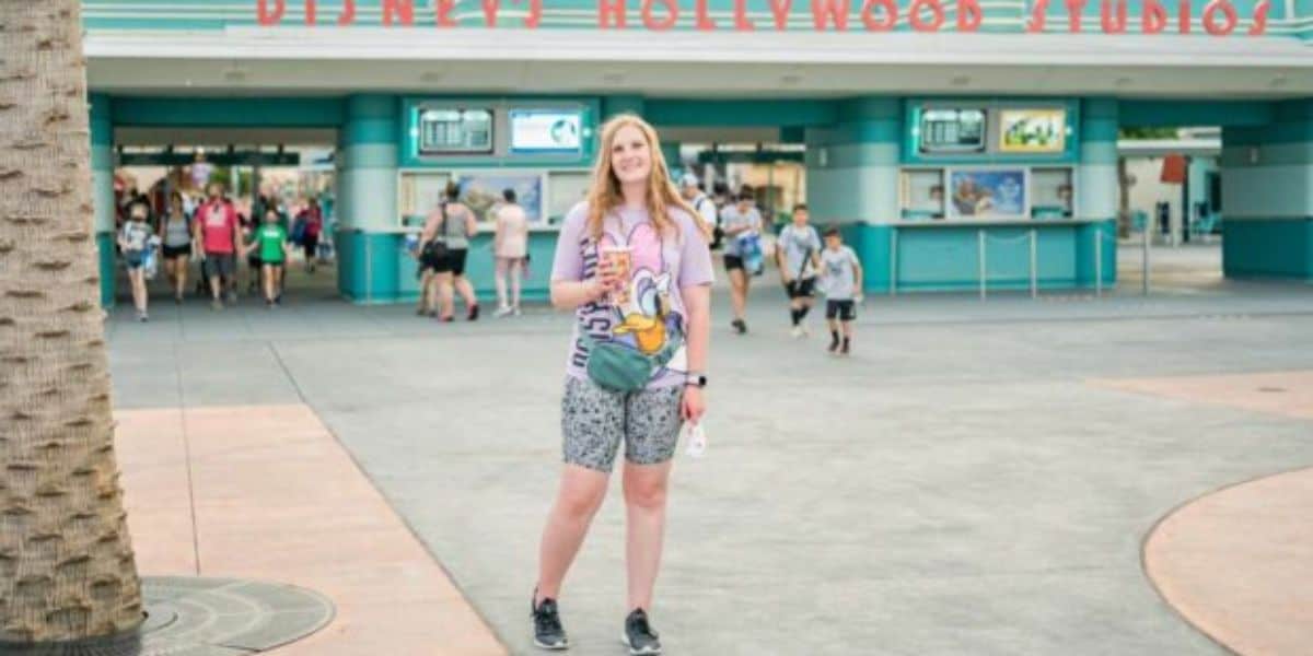 Disney park Entry