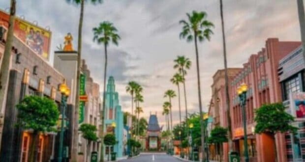 Woman Head Injury Disney World