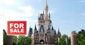 Disney Park For Sale