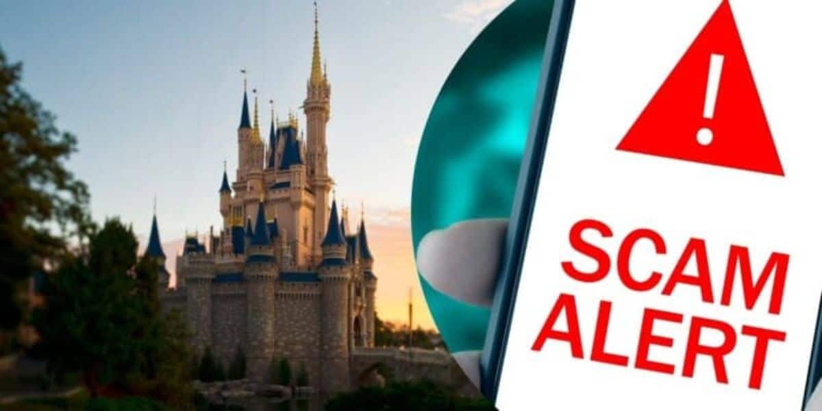 Disney Scam Alert