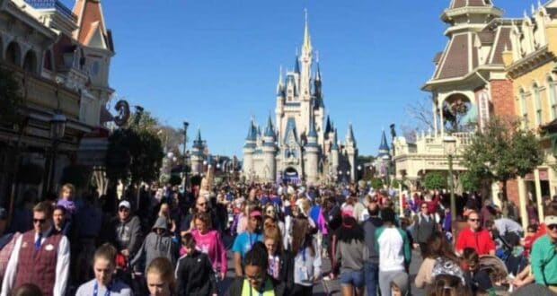 Disney World Crowds