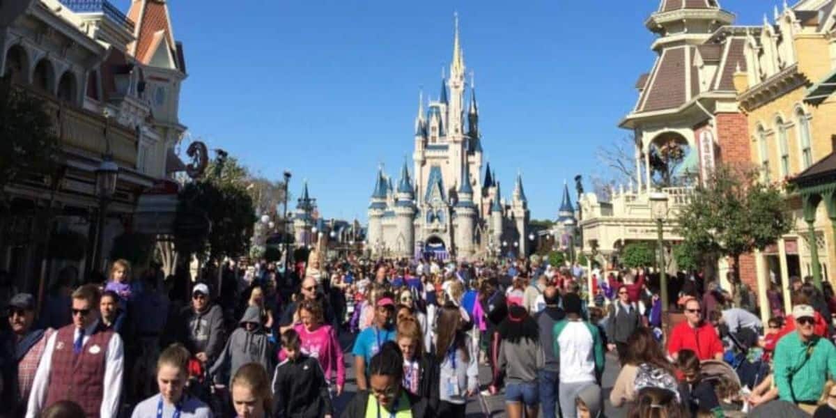 Disney World Crowds