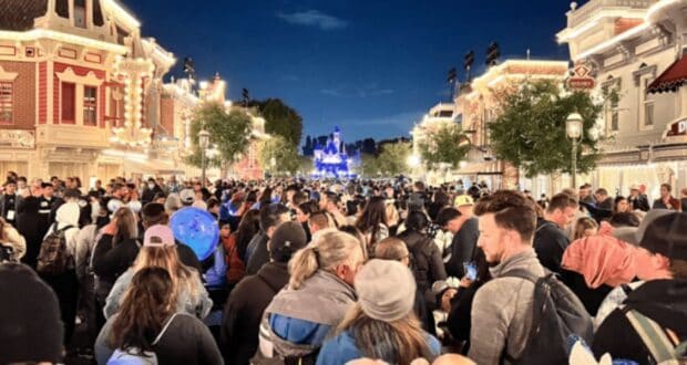 Disney Crowds
