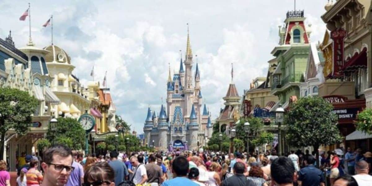 Disney Crowds