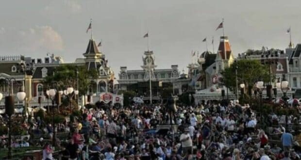 Disney Crowds