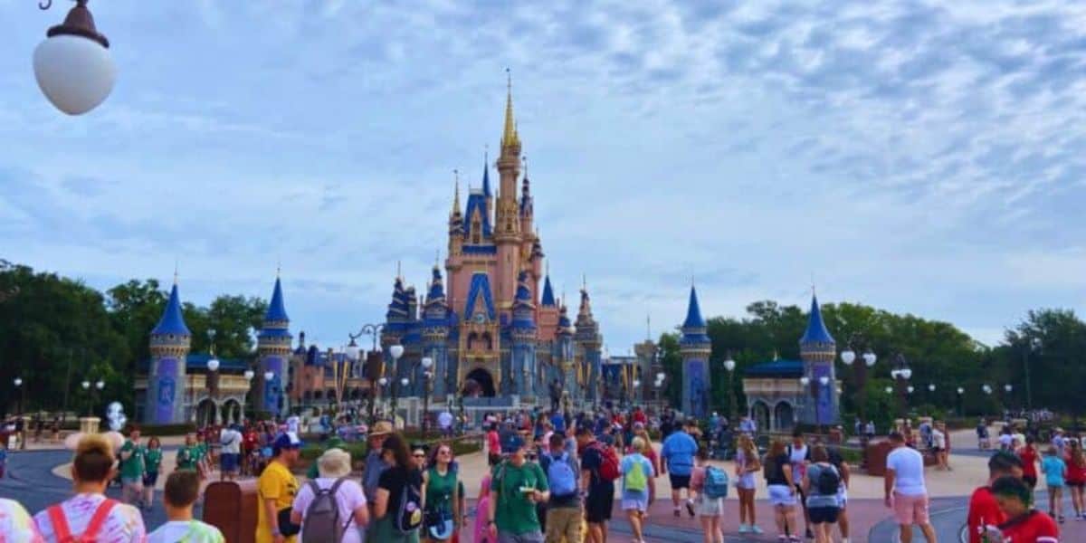 Disneyland Castle