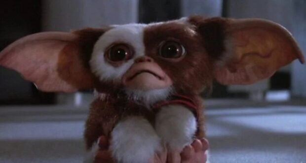 Star Wars Icon Died
