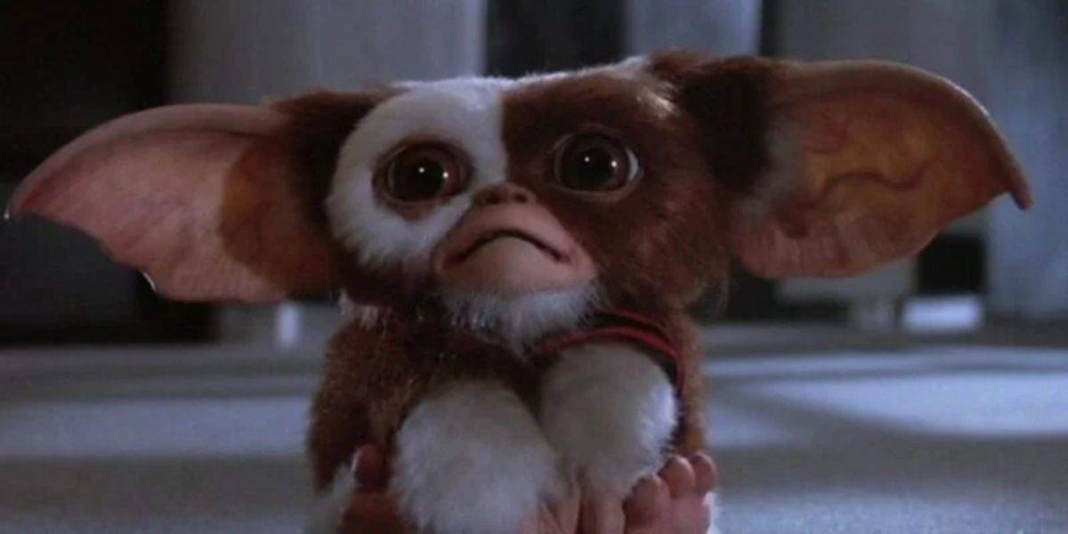 Star Wars Icon Died
