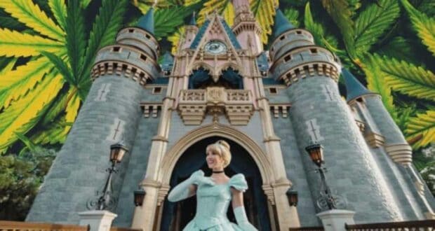 Disney Castle Marijuana