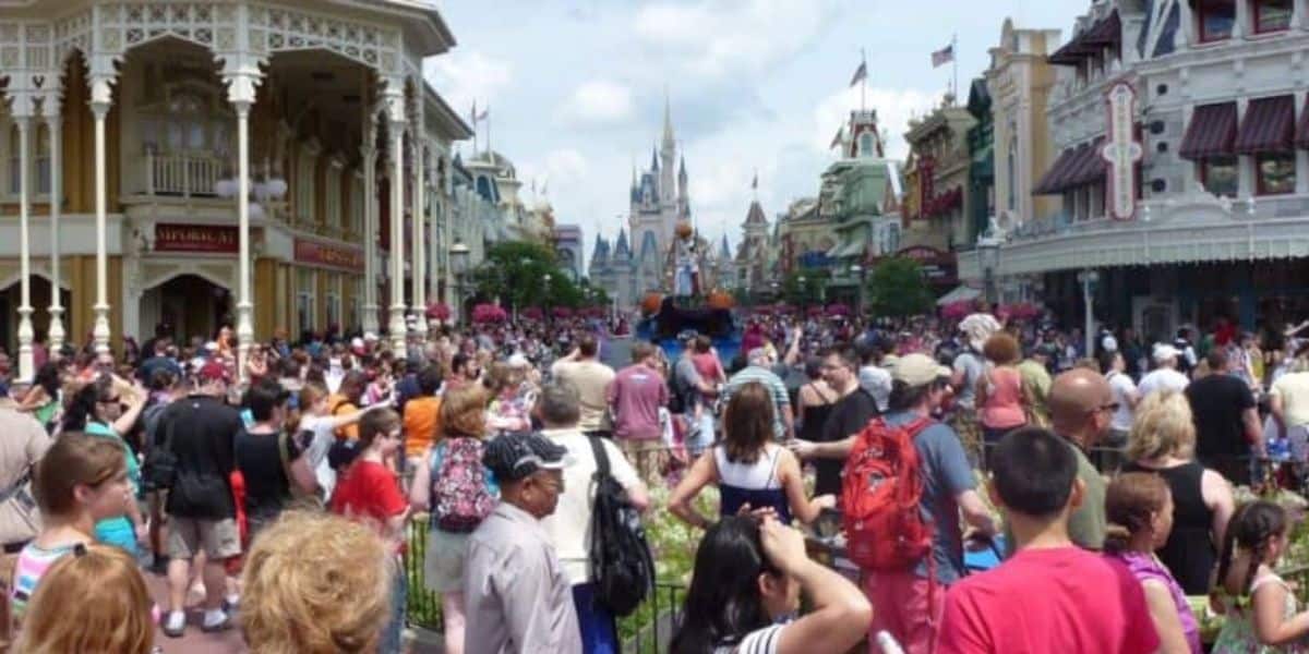 Disney Magic Kingdom Crowds