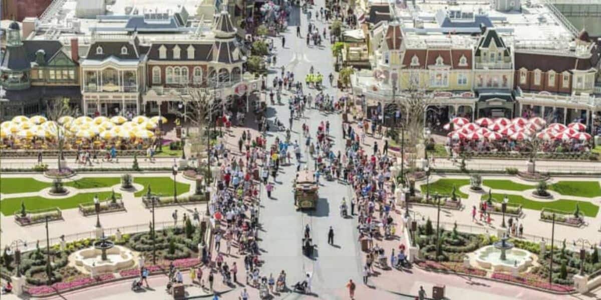 Disney World Guest