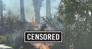 Fire At Animal Kingdom
