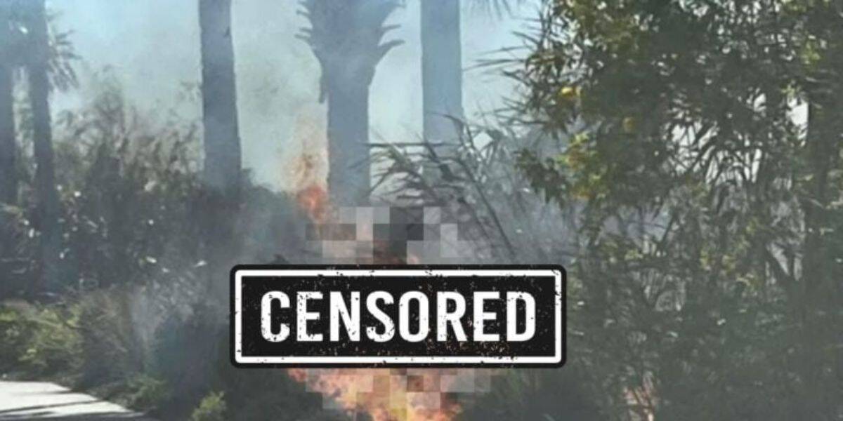 Fire At Animal Kingdom