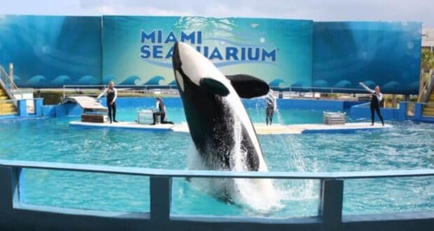 Miami Seaquarium