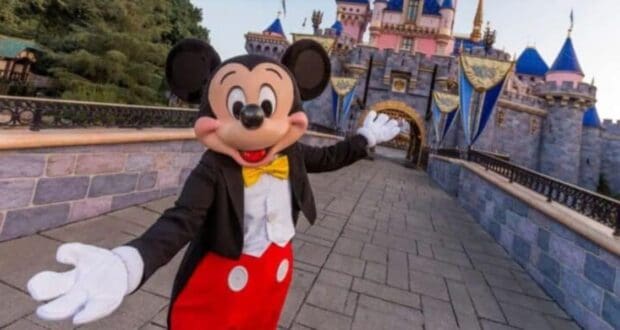 Mickey Mouse Disney Castle