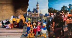 A collage with three sections: on the left, a homeless encampment; in the middle, Disneyland characters in front of a castle; on the right, a protest with people holding signs, including one that reads "Solidarity.