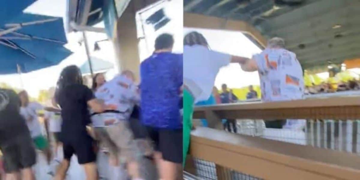 Brawl at Disney Park