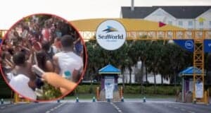 A crowd of people gathered at an entrance with a "SeaWorld Orlando" sign overhead framed by a yellow arch. A circular inset shows a closer view of the crowd, appearing lively and holding up phones. The arch is flanked by palm trees and buildings in the background.