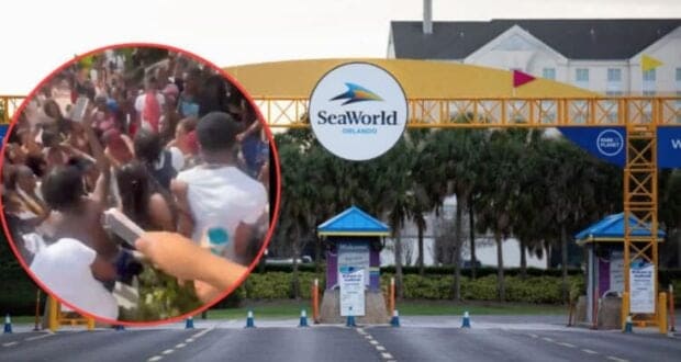 A crowd of people gathered at an entrance with a "SeaWorld Orlando" sign overhead framed by a yellow arch. A circular inset shows a closer view of the crowd, appearing lively and holding up phones. The arch is flanked by palm trees and buildings in the background.