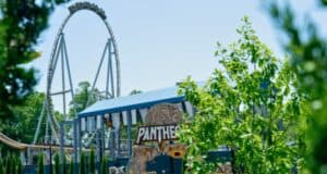 A thrilling roller coaster named Pantheon is visible through some green foliage at Busch Gardens. The ride features a large, vertical loop and tracks that twist and turn. A covered platform for boarding is seen in the foreground with the Pantheon sign prominently displayed.